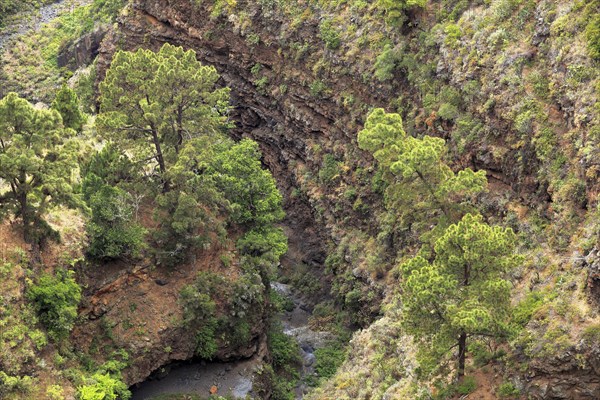 Barranco De Garome