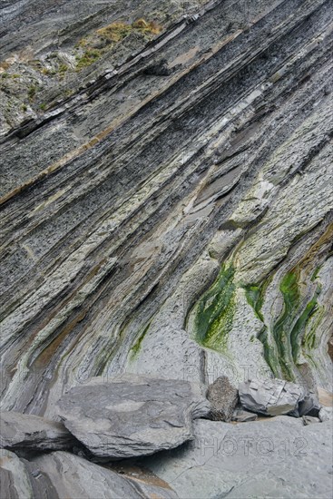 Flysch