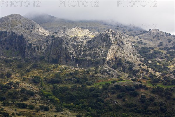 Rock massif in fog