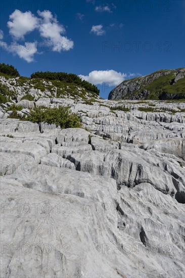 Weathered rocks