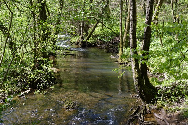 Puttlach River