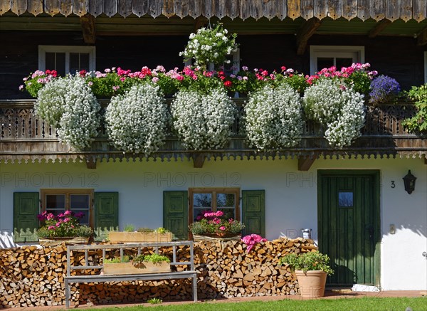 Flowers on farmhouse