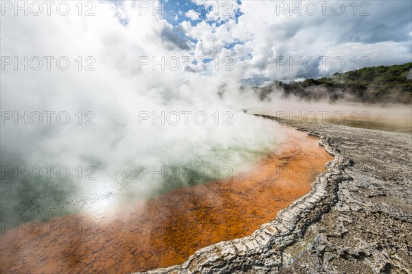 Champagne Pool