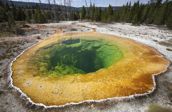 Morning Glory Pool