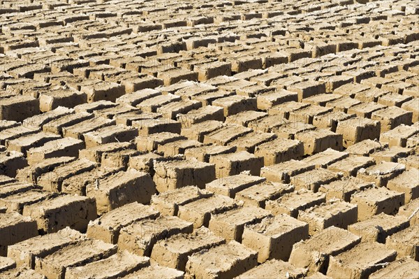 Mud Bricks