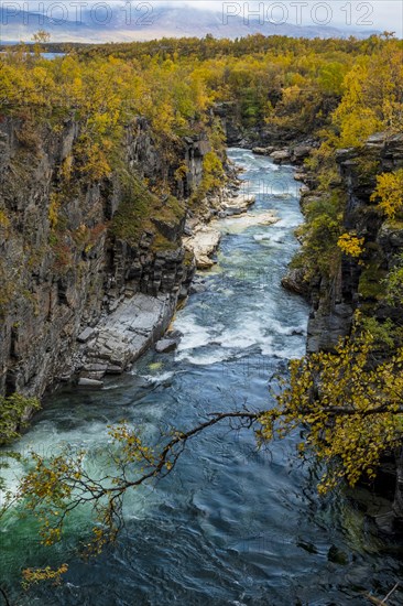 Autumnal Abisko Canyon