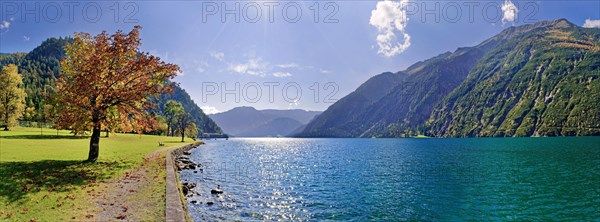 Lake Achensee with autumn-coloured deciduous tree