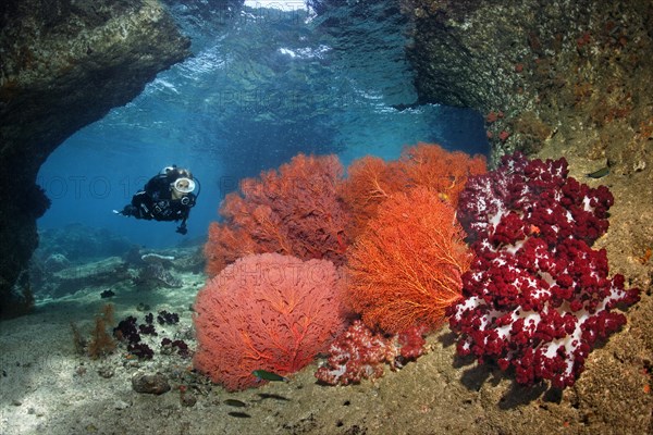 Diver diving in breakthrough