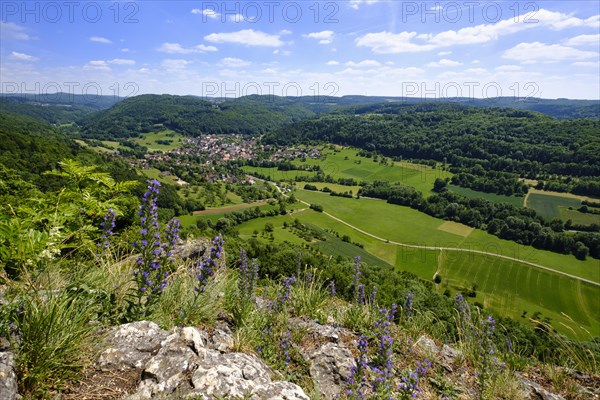 Forrenbach near Happurg