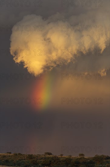 Evening thunderstorm with Cumulonimbus cloud and rainbow above a sand dune