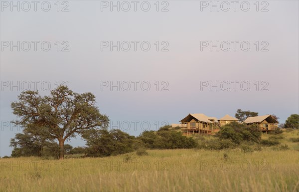 Stilt canvas tents of the Polentswa Camp