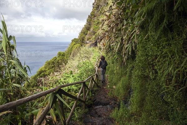 Hiker on a hiking trail on the south coast near Faja de Lopo Vaz