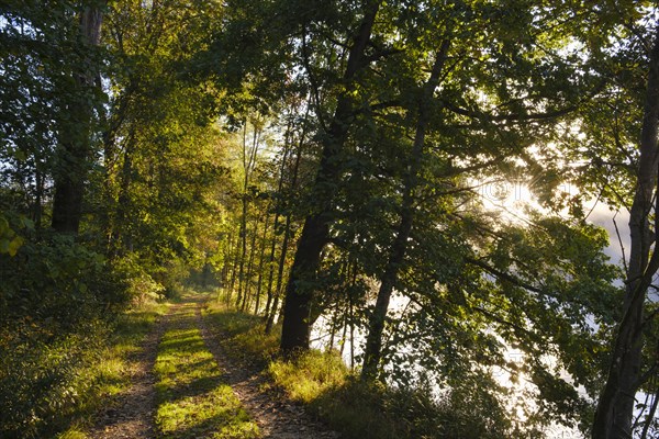 Hiking trail on the Isar