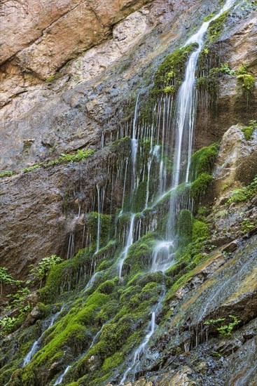 Waterfall on mossy slope in gorge