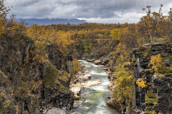 Abisko Canyon in autumn