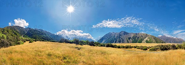 Panorama of golden grasslands with Mount Cook