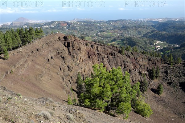 Crater Pinos de Galdar