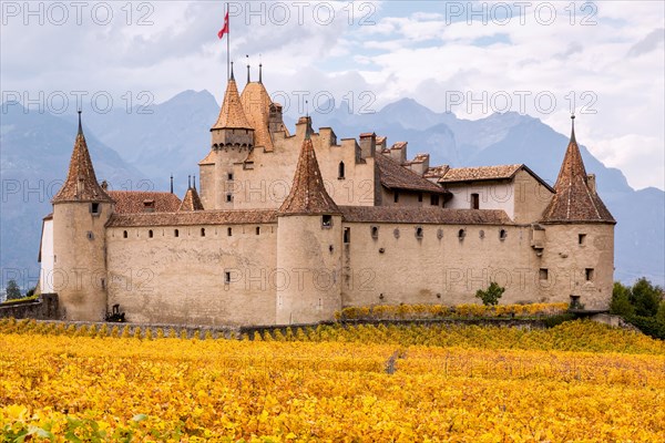 Aigle Castle surrounded by vineyards