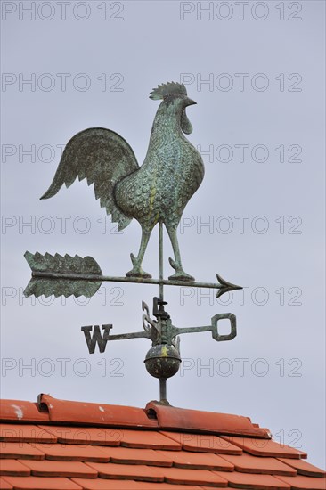 Weathercock with cardinal points on roof