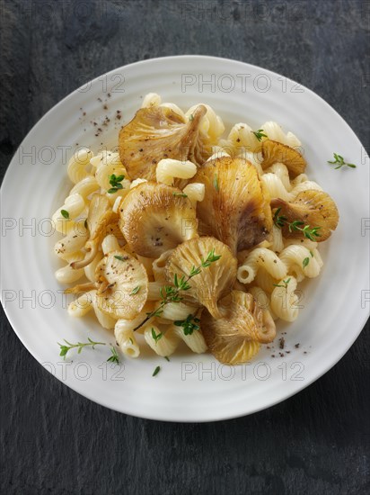 Sauteed Yellow Oyster mushroom with Cavatappi pasta