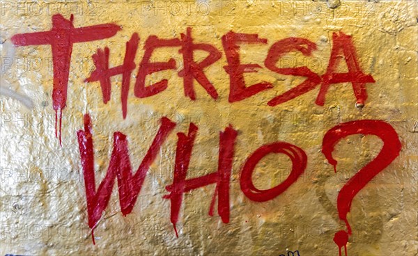 Theresa Who? lettering