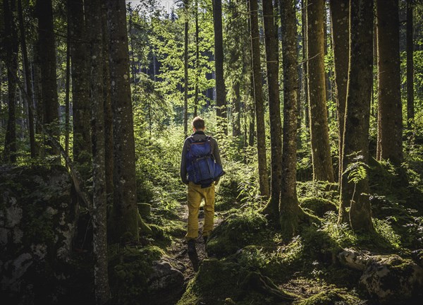 Young man in the magic forest