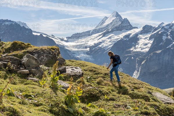 Hiker