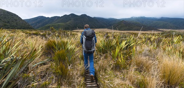 Hiker on hiking trail through swamp landscape