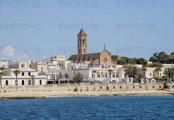 View of the village with church