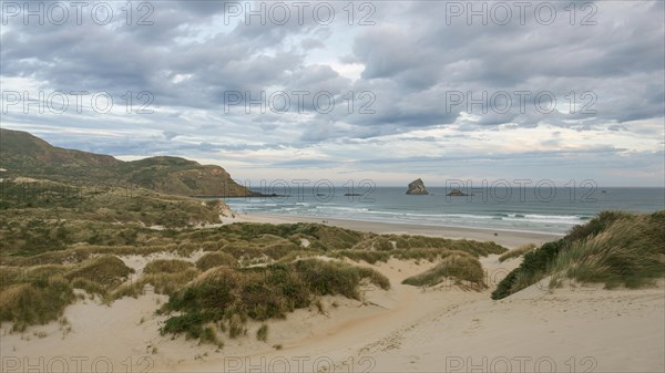 Beach with sand dunes