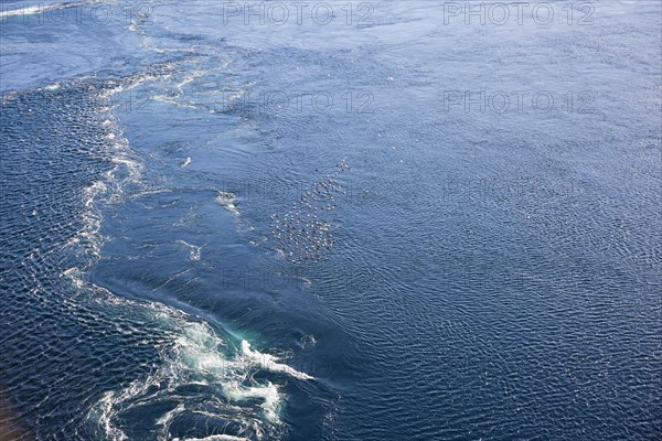 Massive whirlpools in the water