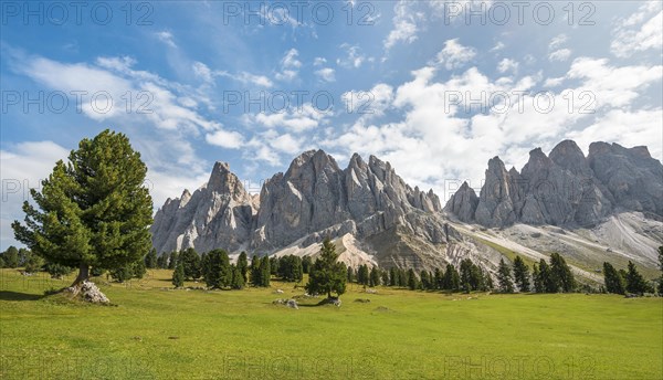 Mountain meadow near Gschnagenhardt Alm