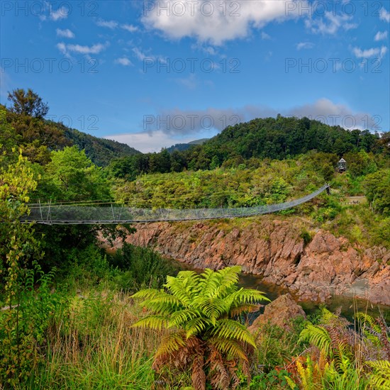 Buller Gorge Swing Bridge across Buller River