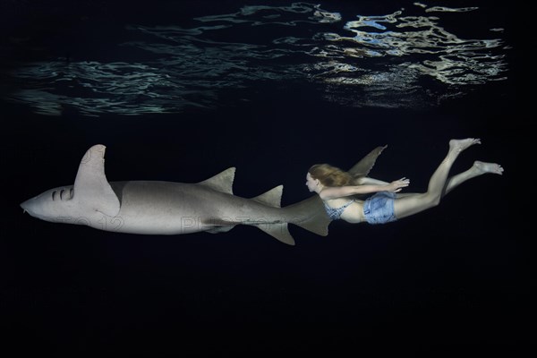 Young beautiful woman swims with shark at night