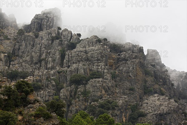 Rock massif in fog