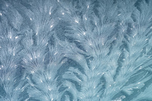Frost tracery patterns on glass pane