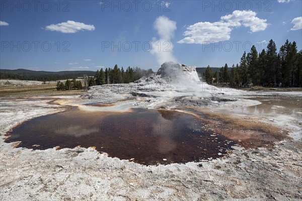 Castle Geyser