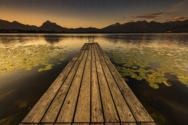 Dock at mountain lake with lily pads