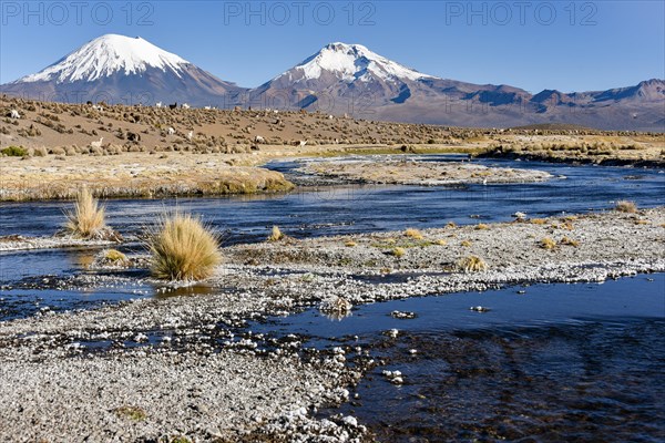 Snow-covered volcanoes Pomerape and Parinacota with icy river