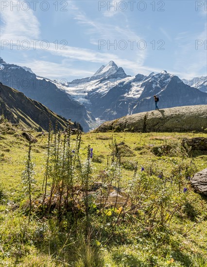 Hiker on a rocky