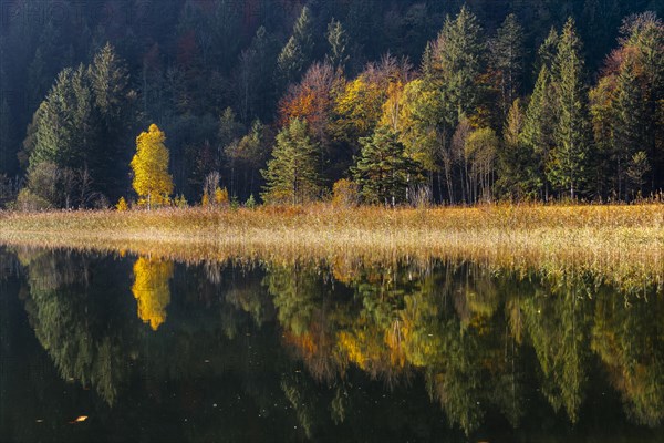 Water mirroring