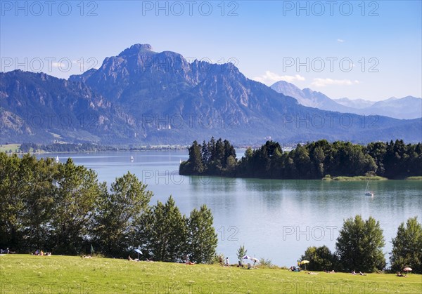 Forggensee