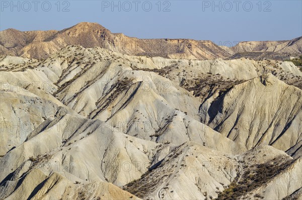 Bare ridges of eroded sandstone