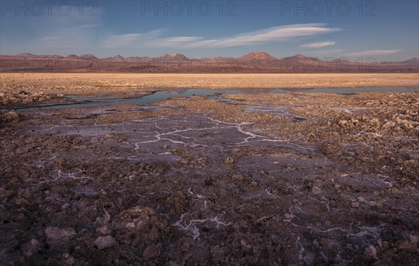 Laguna Chaxa lagoon in the salt lake Salar de Atacama