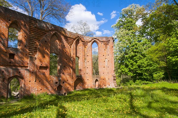 Monastery ruins of Boitzenburg