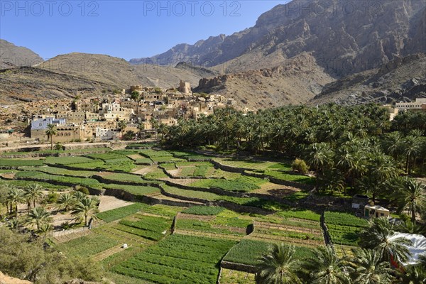 Village of Balad Sayt