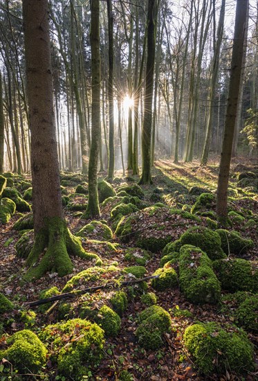 Druidenhain in Franconian Switzerland at sunrise