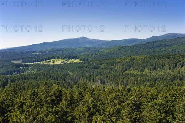 View from the treetop path Bavarian Forest near Neuschonau