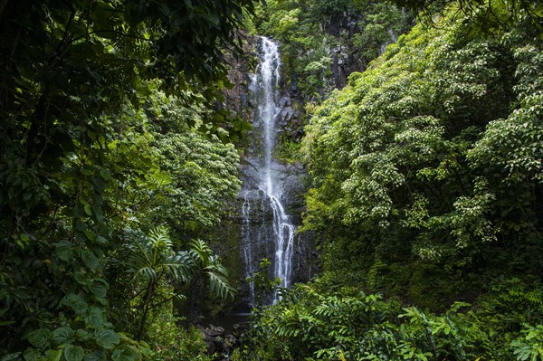 Makahiku falls in green vegetation