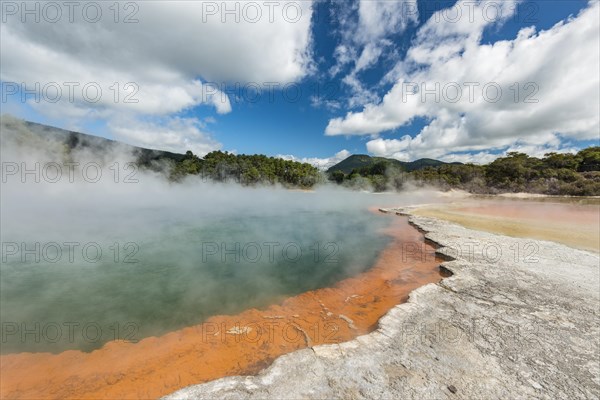 Champagne Pool